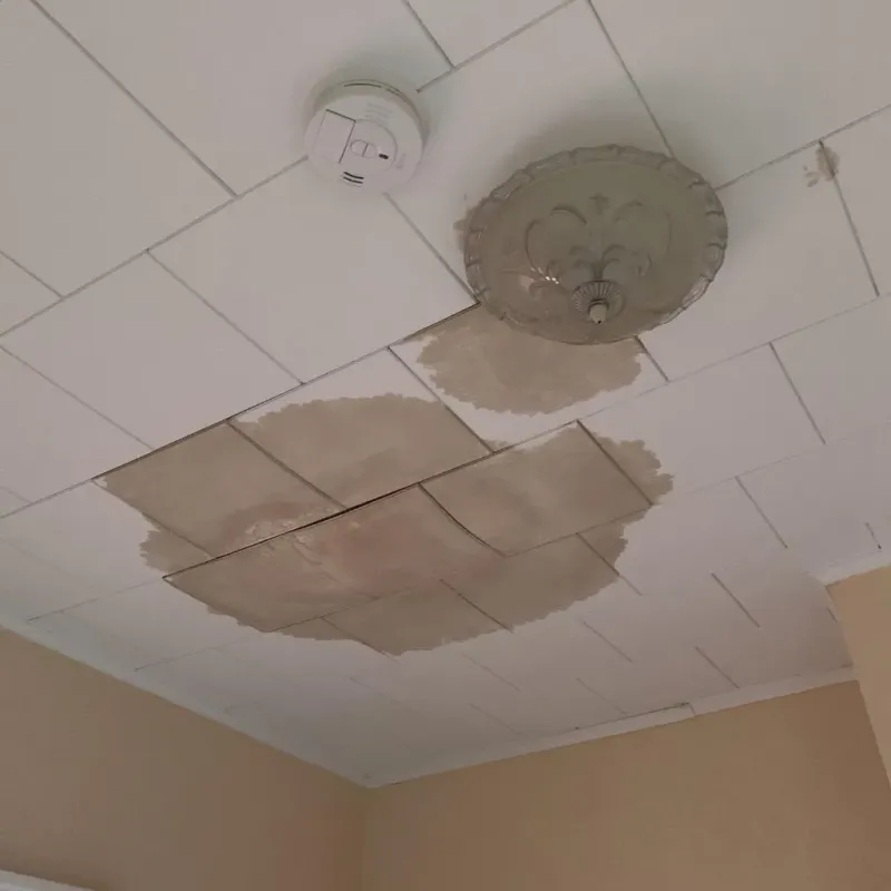 Ceiling Water Damage Repair in Lyndon, KS