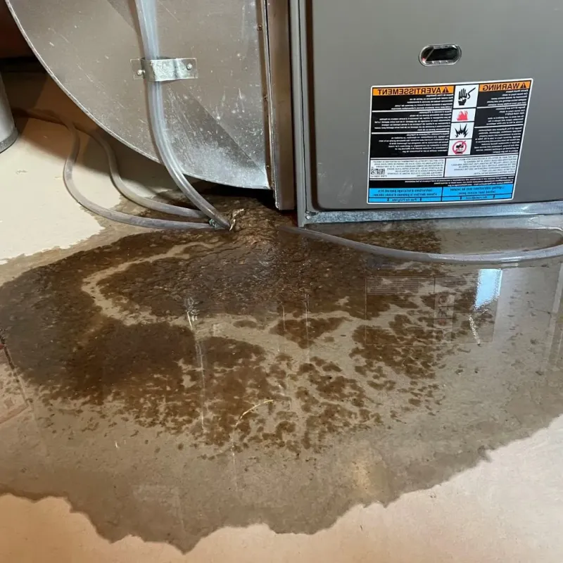 Pipe Burst and Leak Restoration in Lyndon, KS
