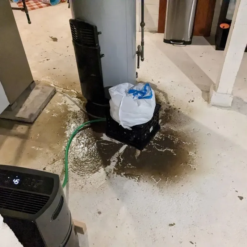 Sewage Backup Cleanup Service in Lyndon, KS
